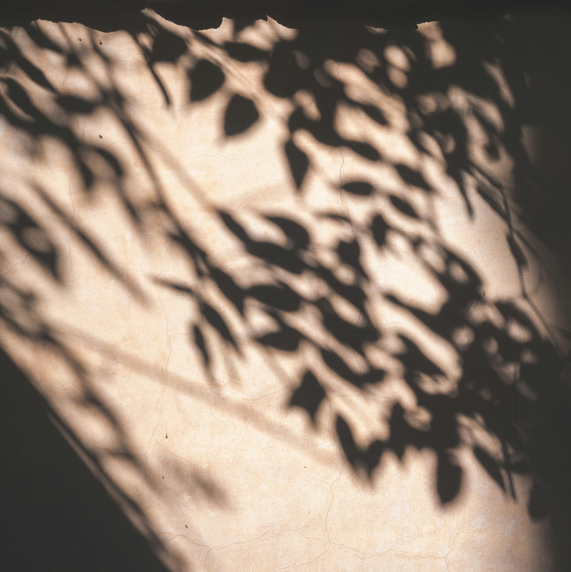 Shadow Work: What It Is, Why It Matters, and How to Begin