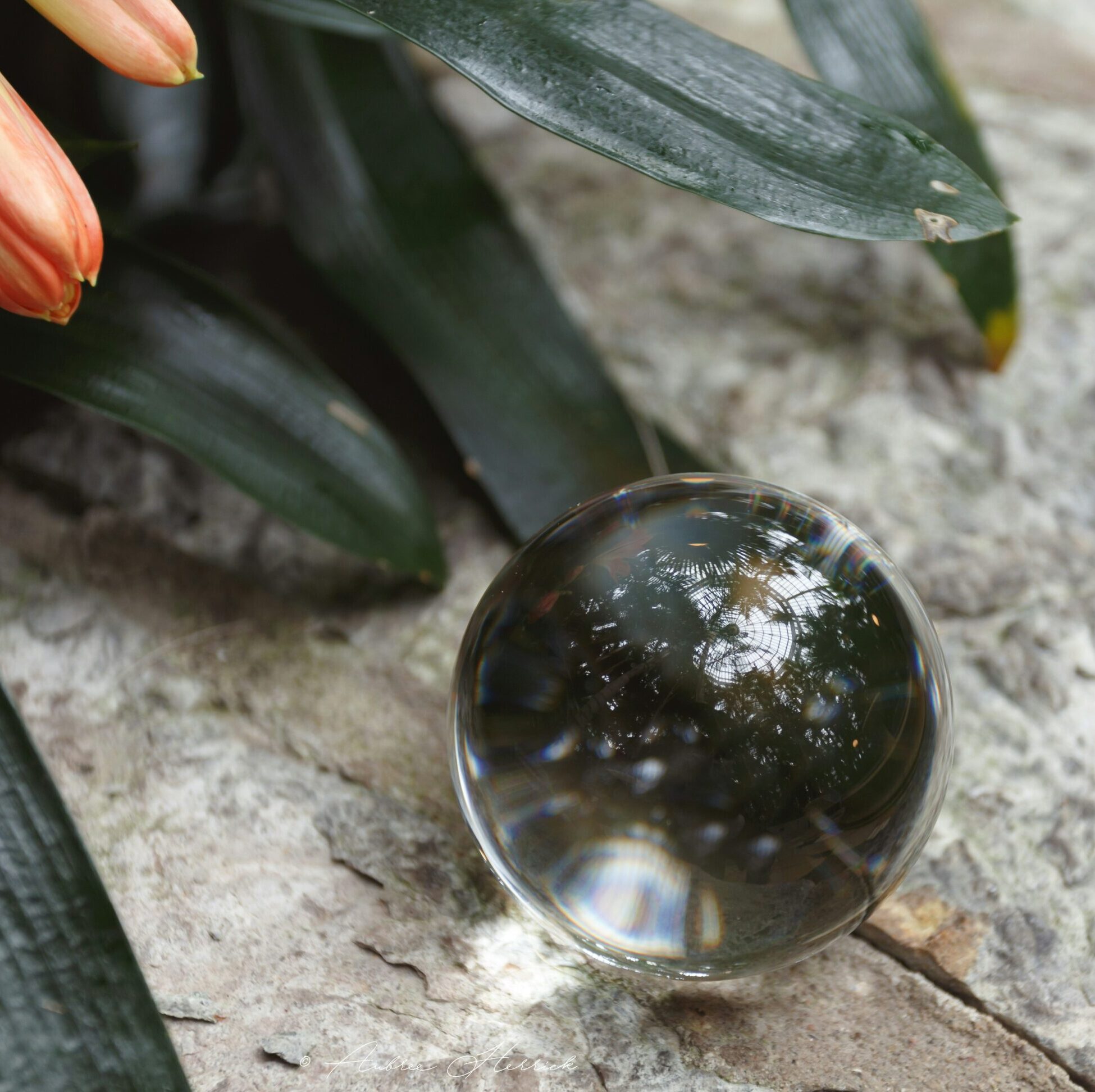 How to Identify Your Limiting Beliefs and Shift Them to Change Your Life for the Better