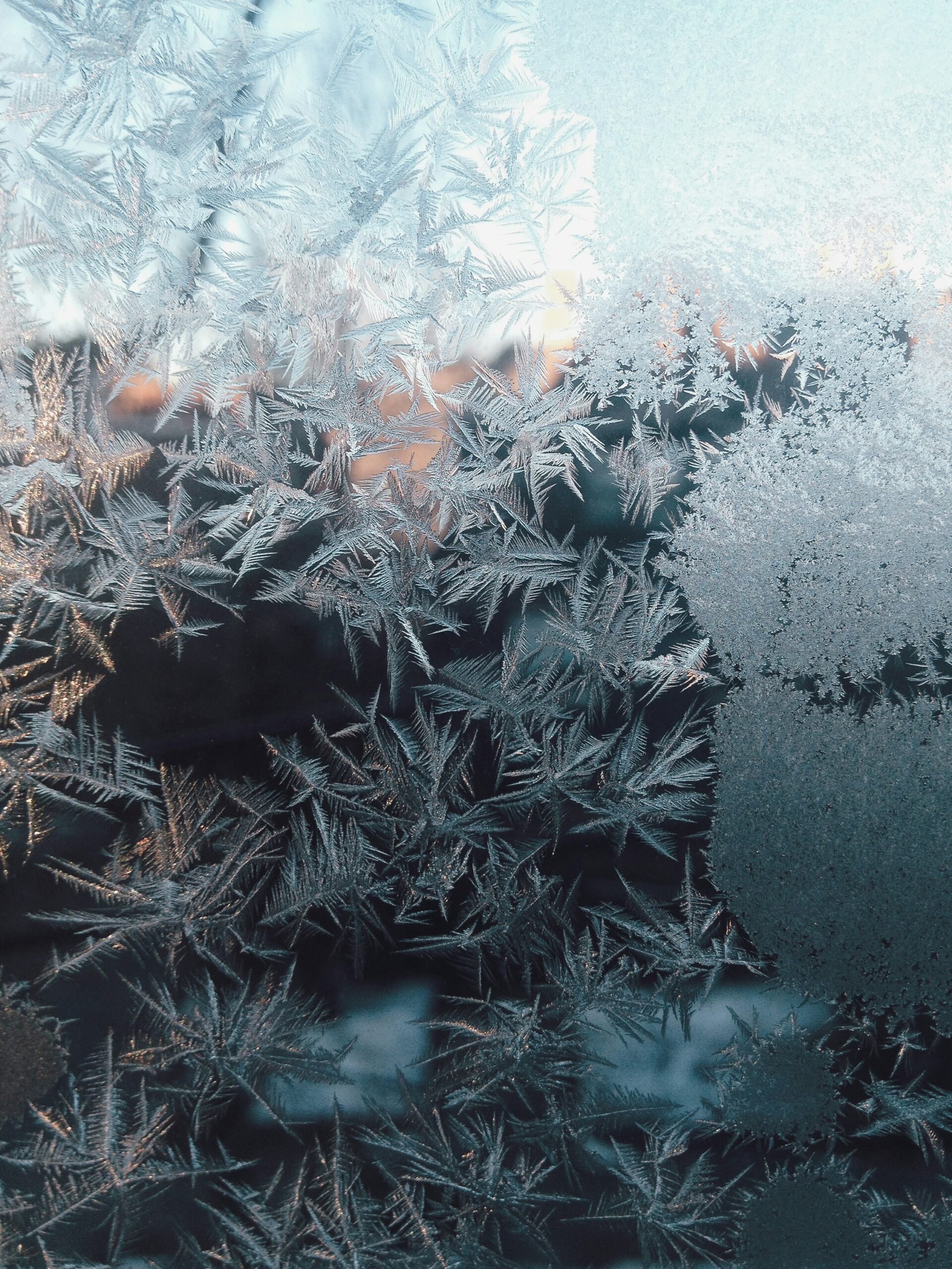Understanding the nervous system freeze response
