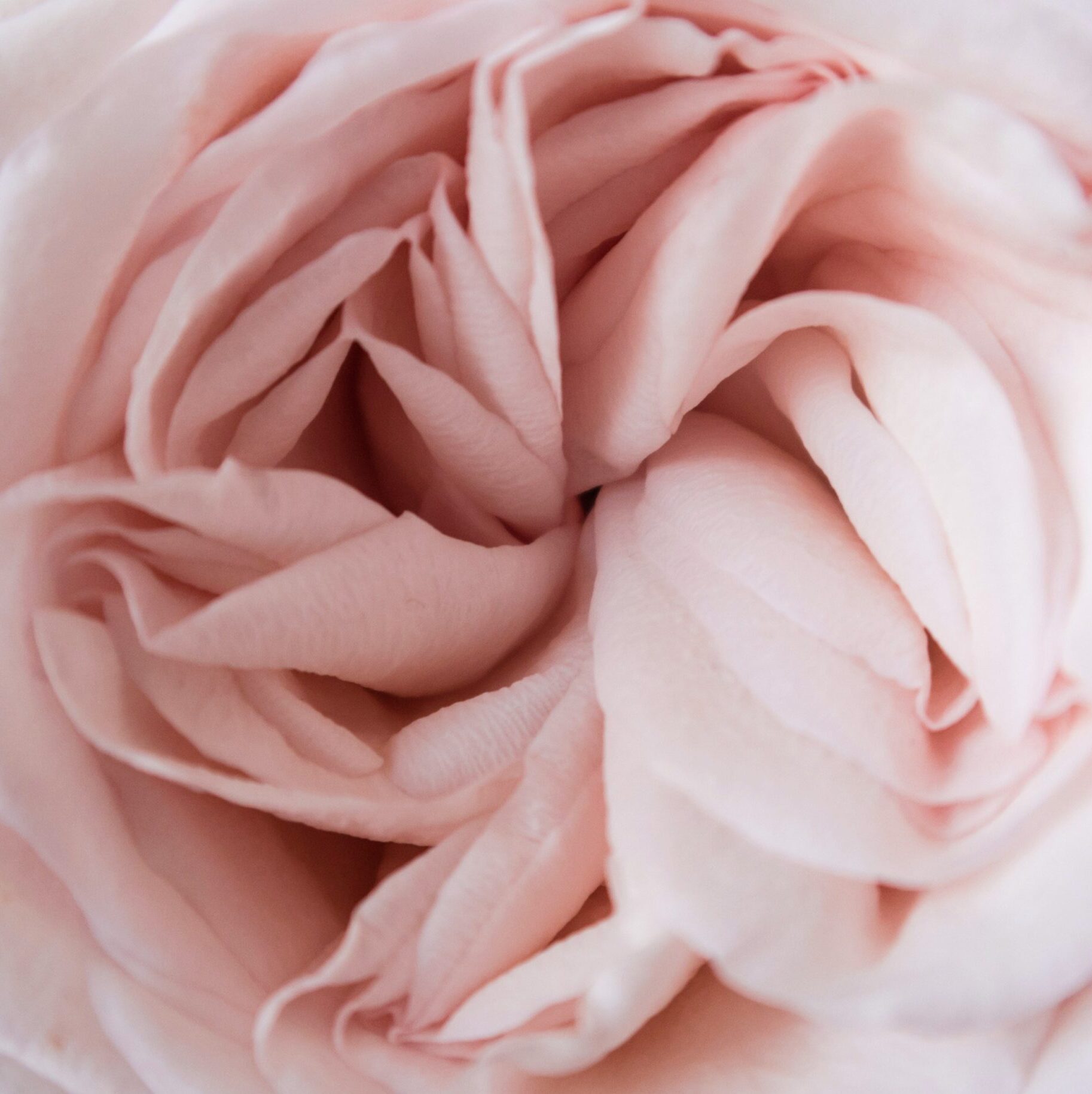 Embodied Feminism — Empowering Women by Empowering Yourself