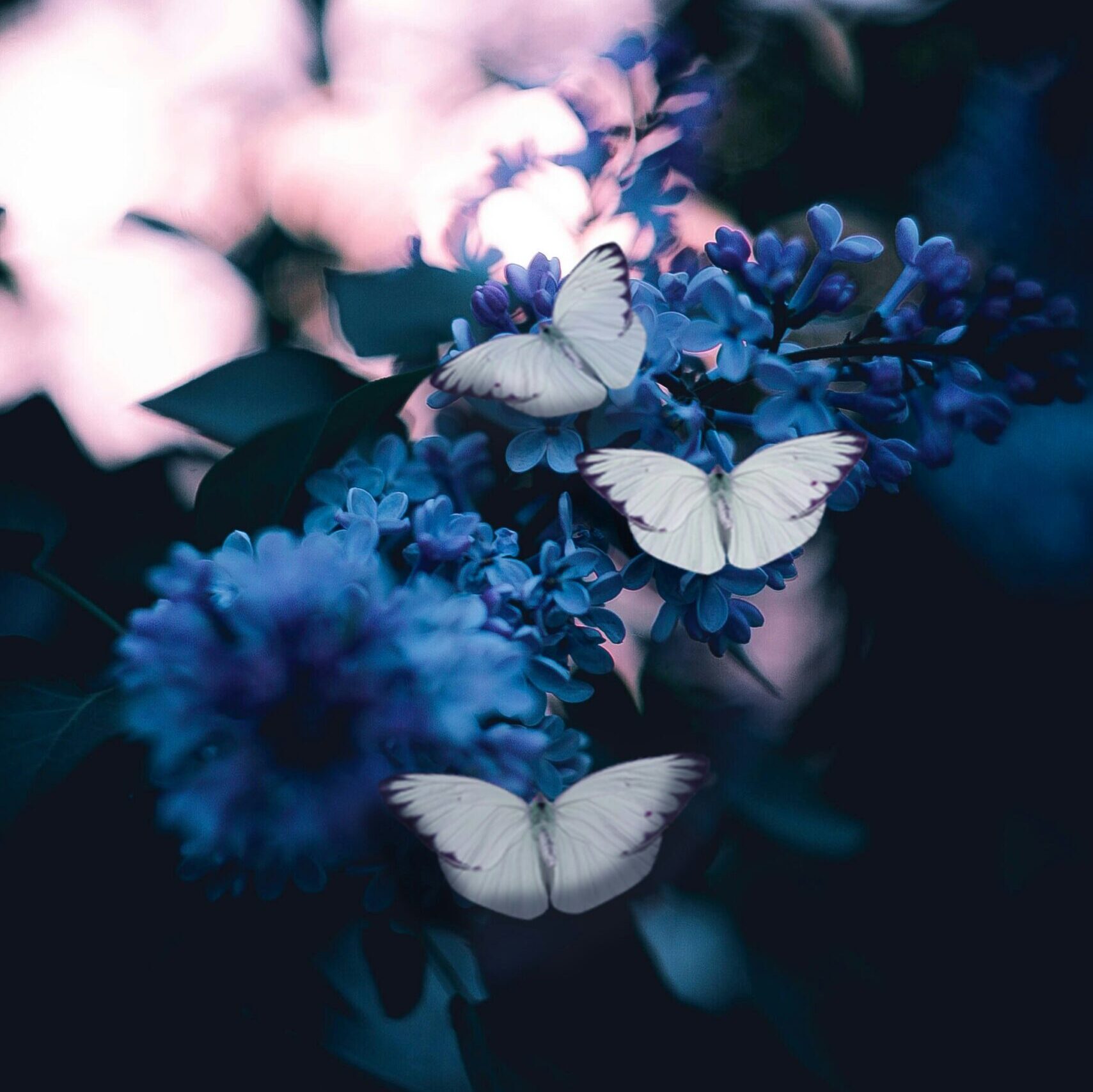 How to Make 2026 the Year Your Life Actually Changes