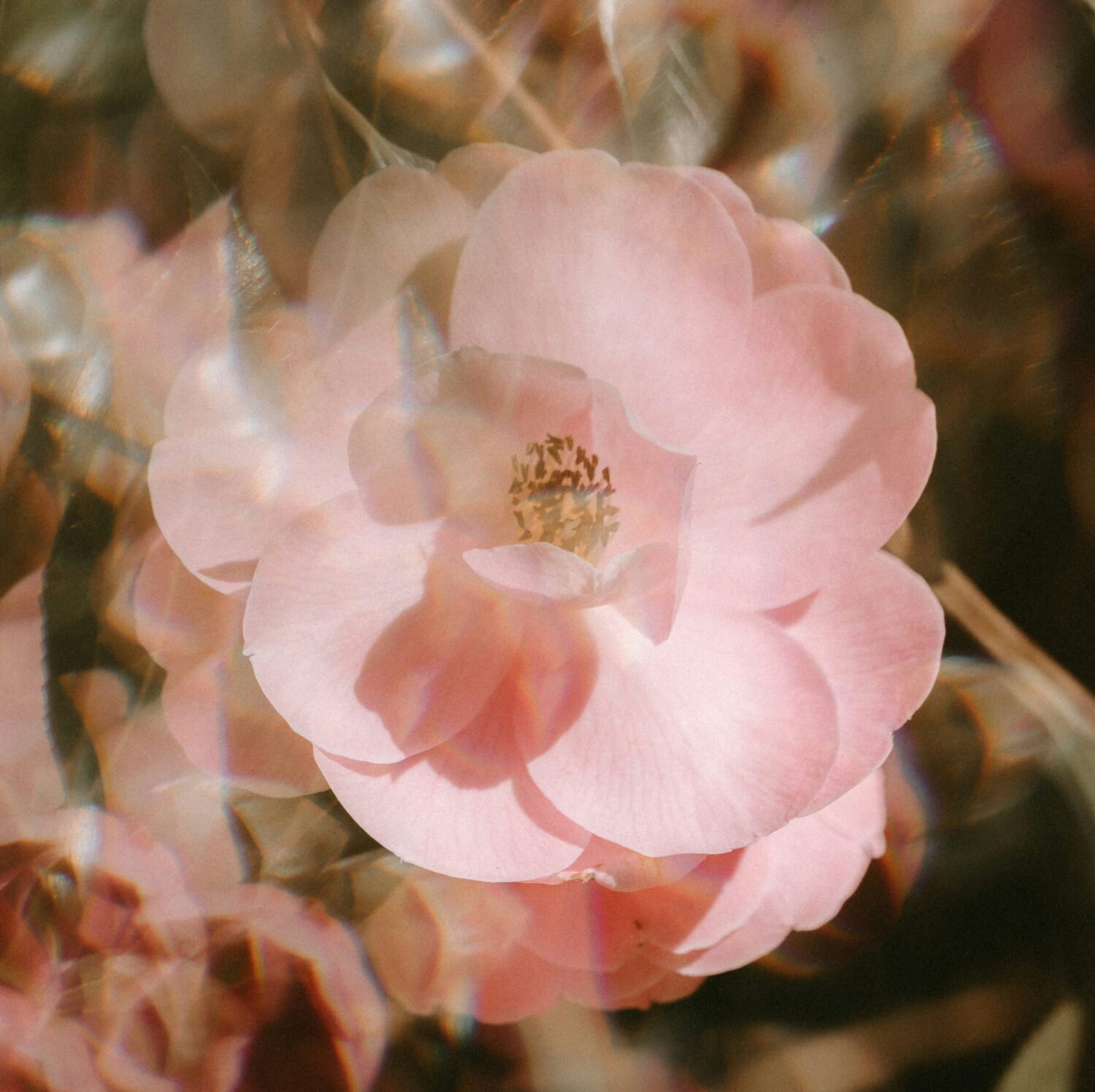 Conscious Femininity Explained: What It Is, Why It Matters in 2026 & How to Live It