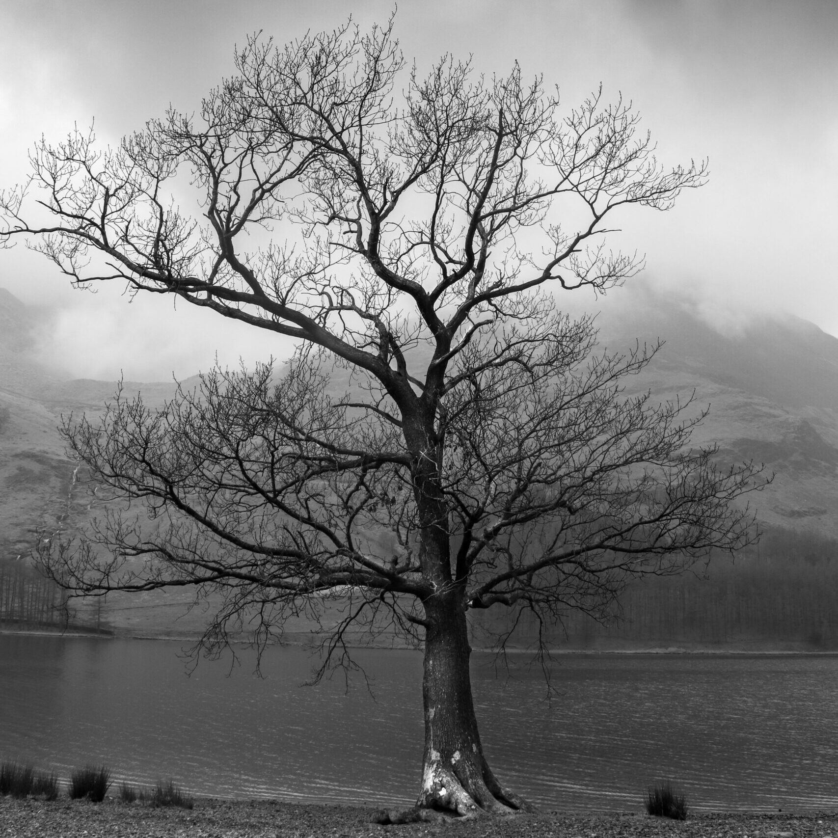 Emotional Literacy Explained