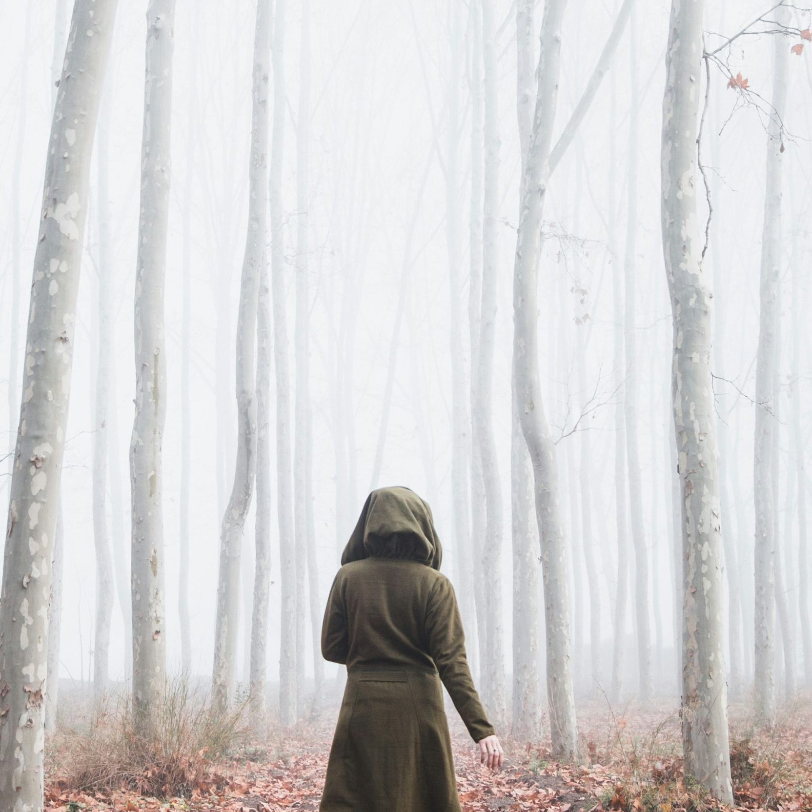 Channelling Your Inner Crone: How to Live Your Authentic Feminine Truth