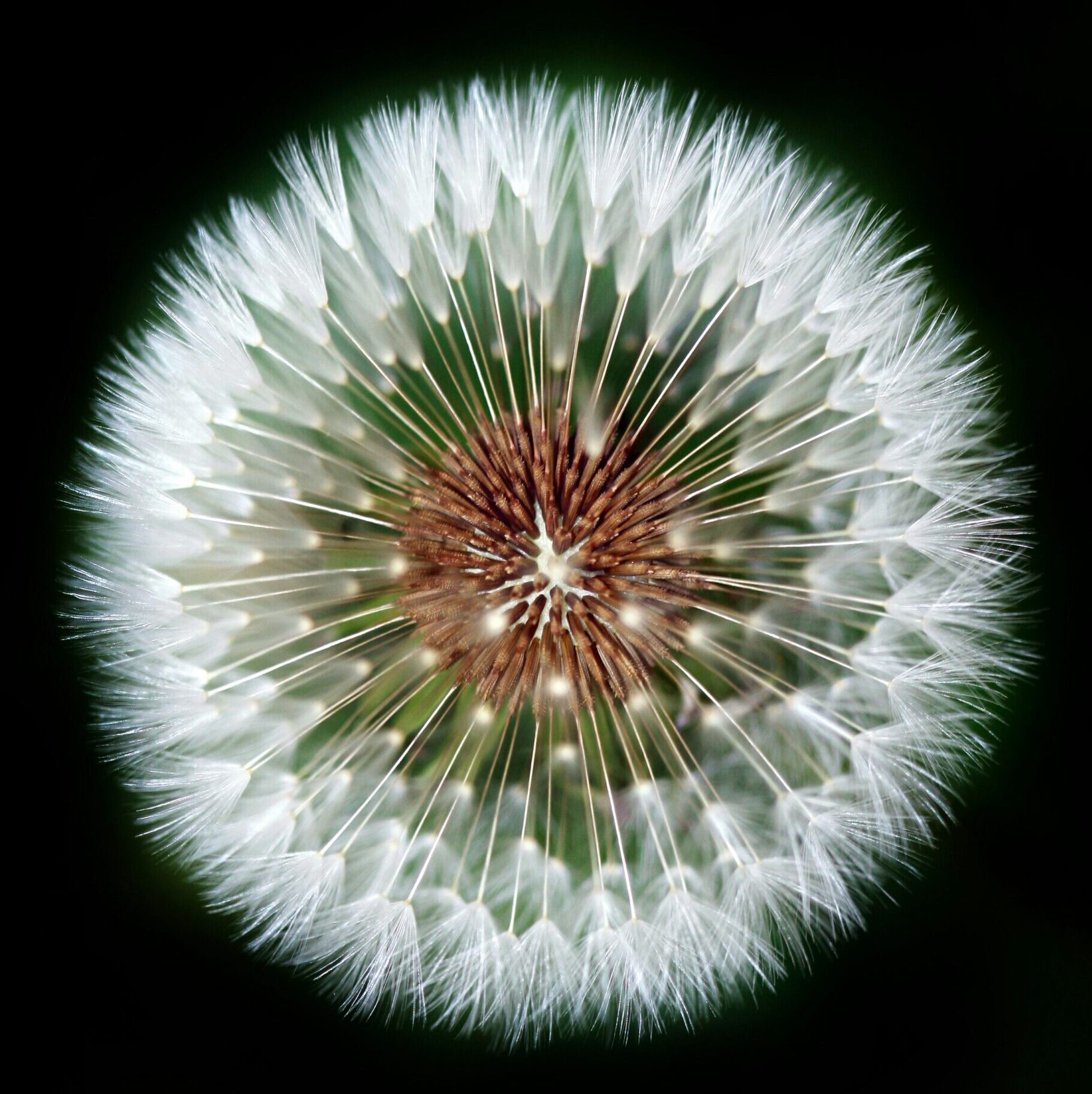 Why Metaphor Heals: The Language of the Unconscious Mind