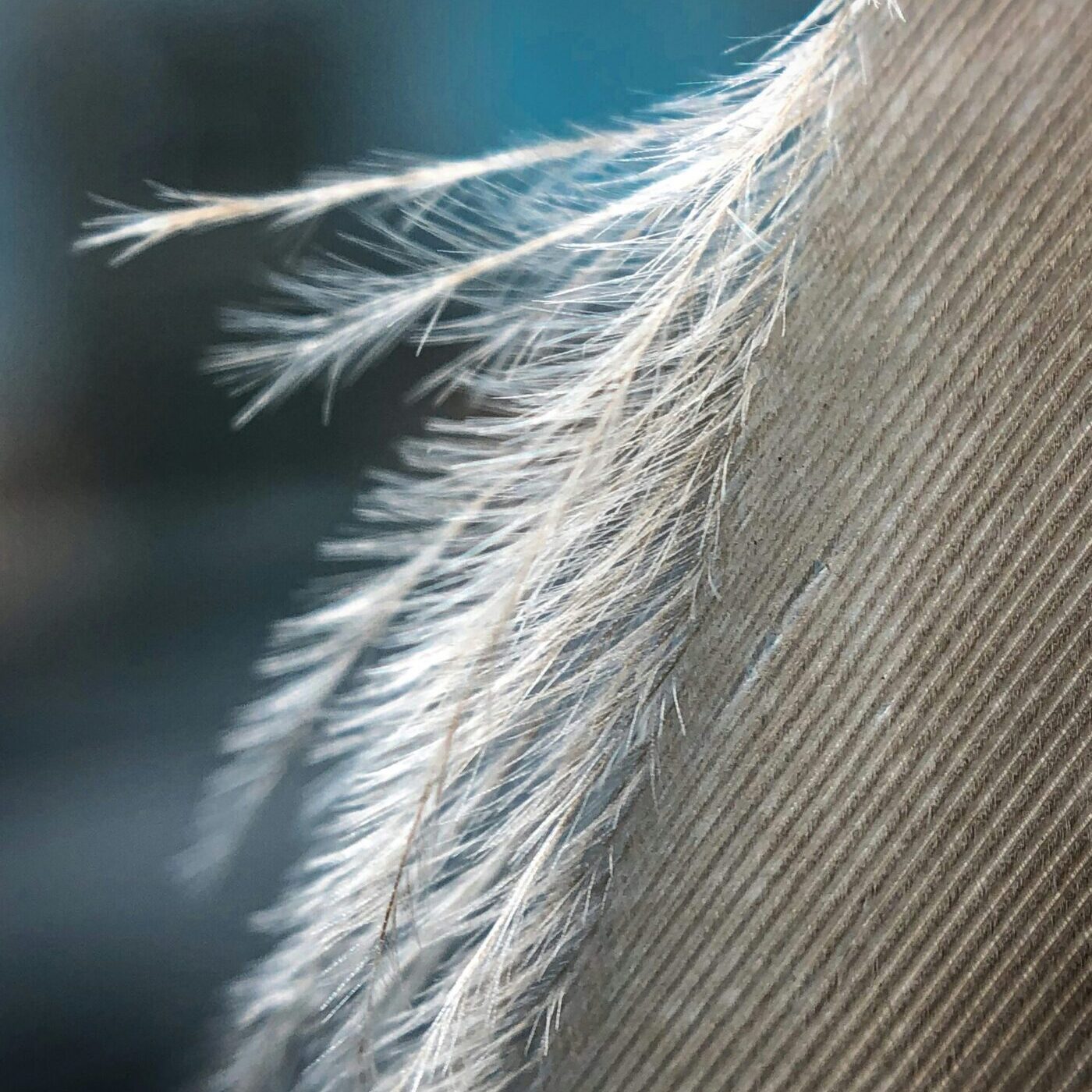 Energetic Cord Cutting: How to Release Emotional Attachments and Reclaim Your Power