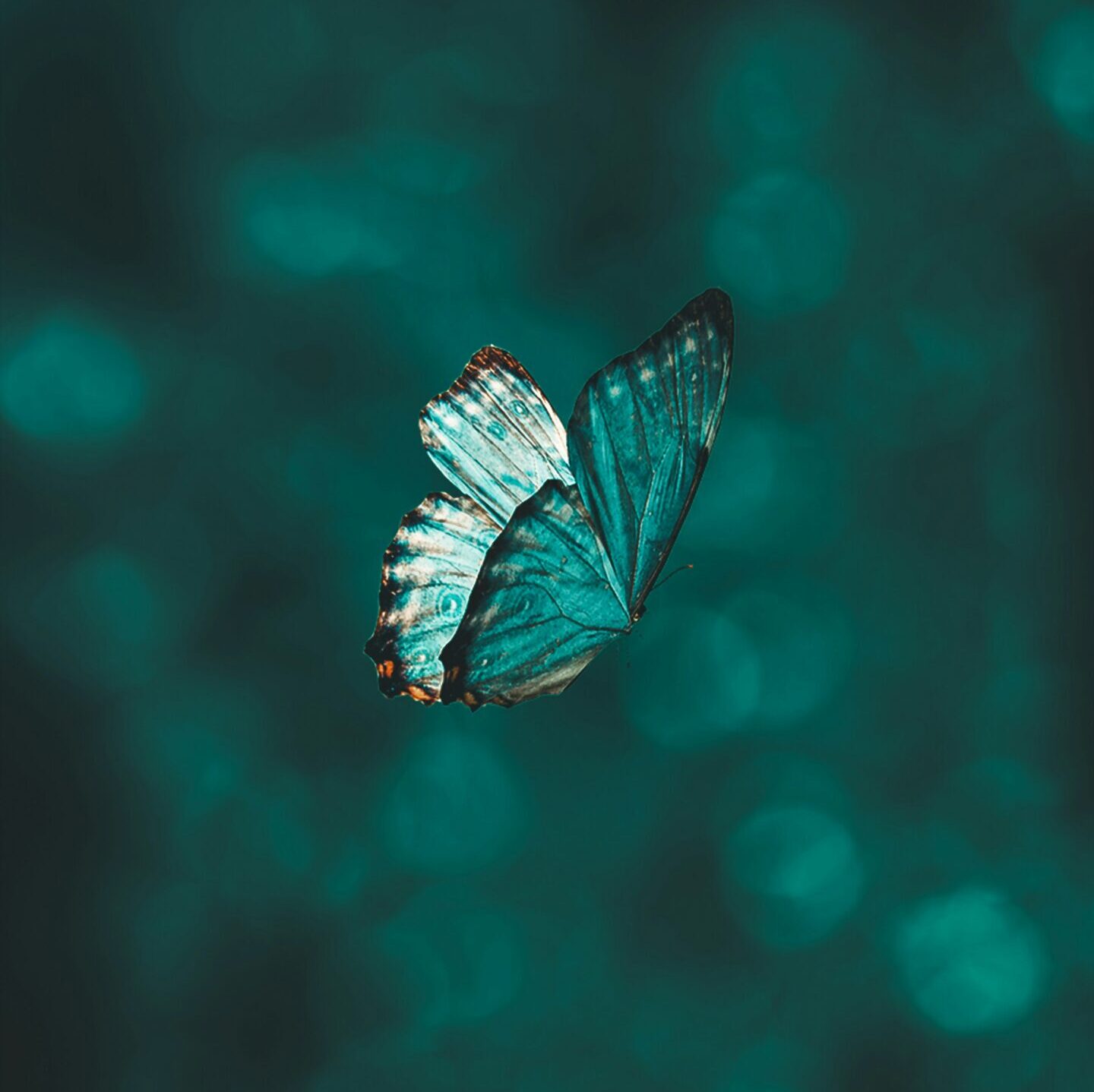 How to Change Behaviour Patterns That Keep You Stuck (Even When You Know Better)