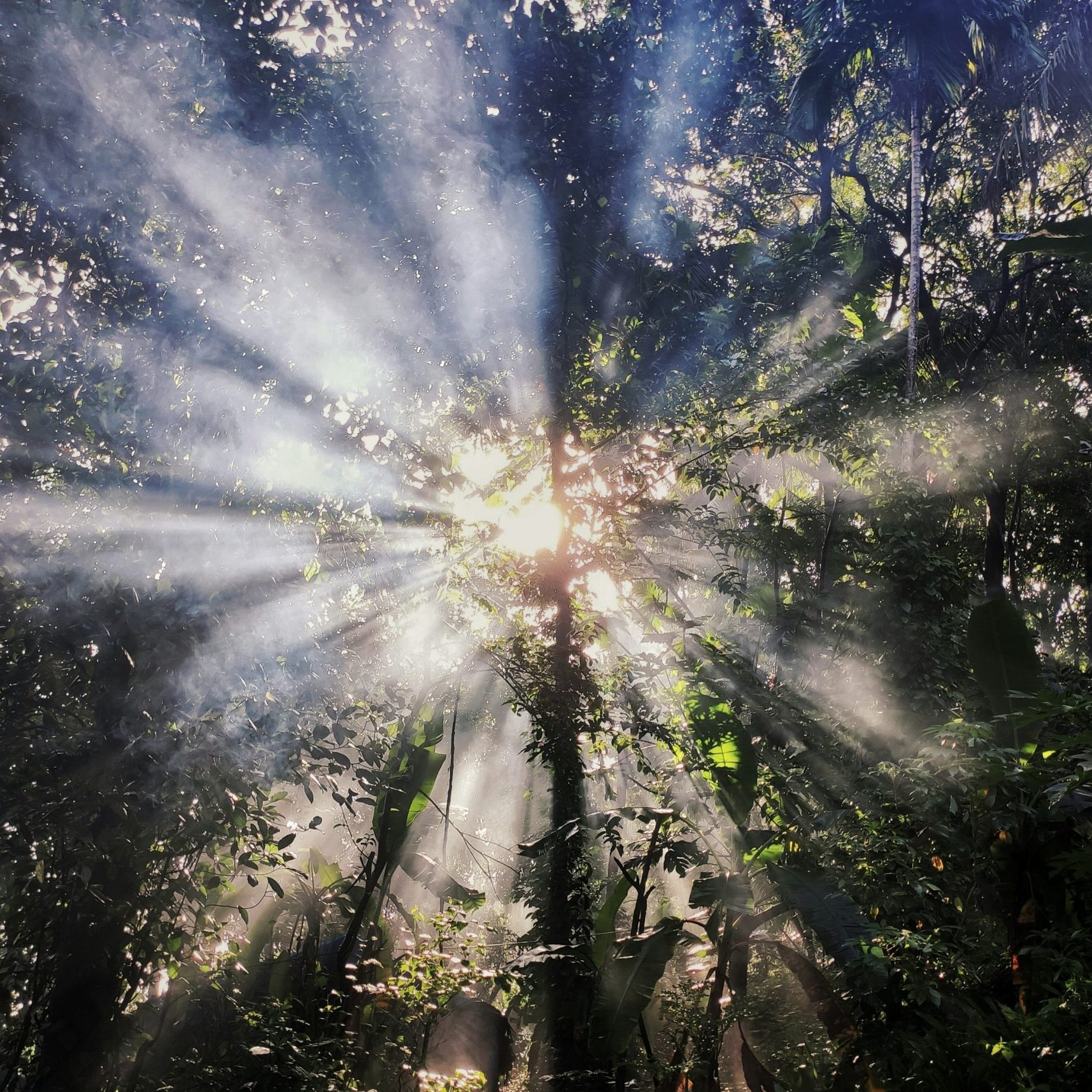 How to tell the difference between intuition and anxiety