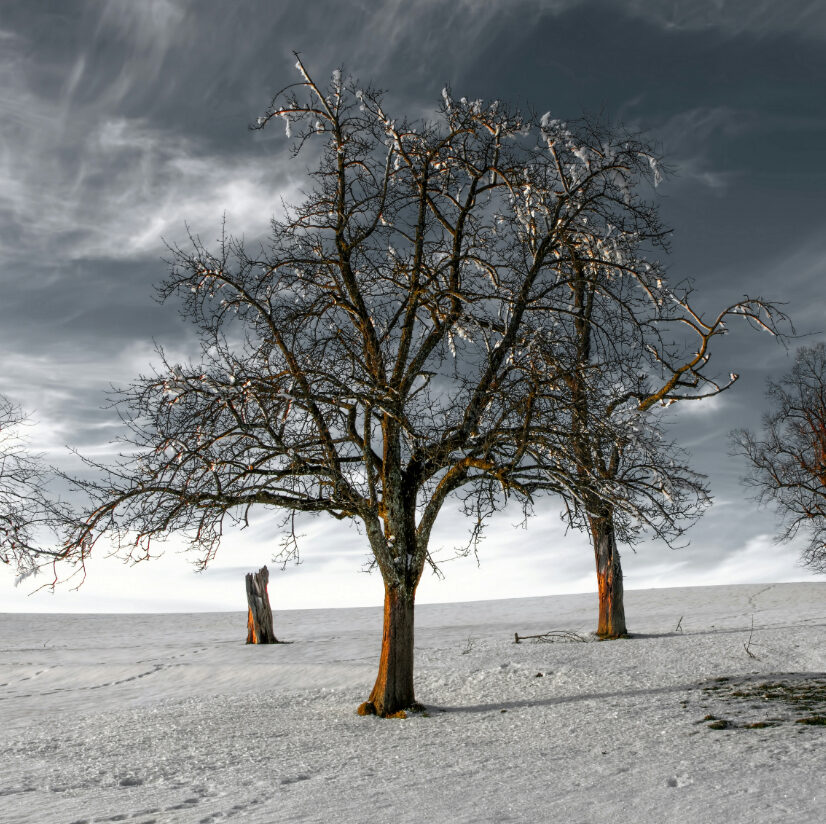 10 Signs You’re Abandoning Yourself (And How to Stop)