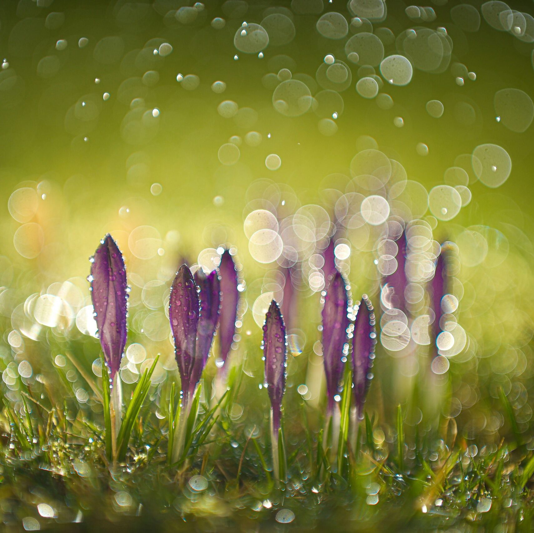 What Season Are You In? The Equinox and the Art of Living Cyclically